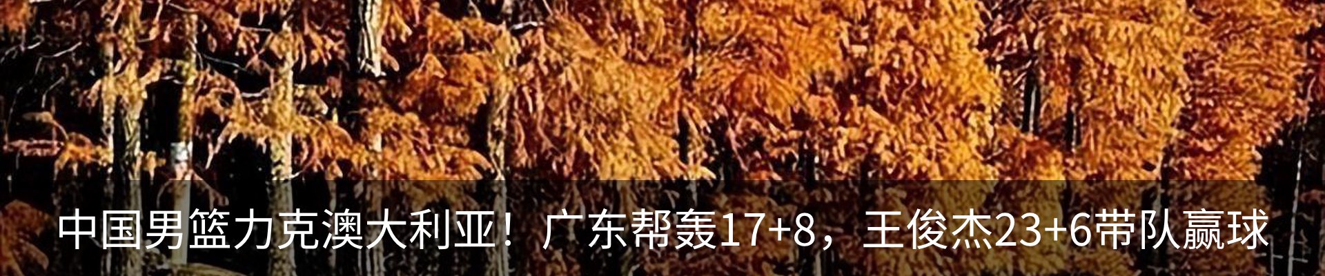 资讯动态